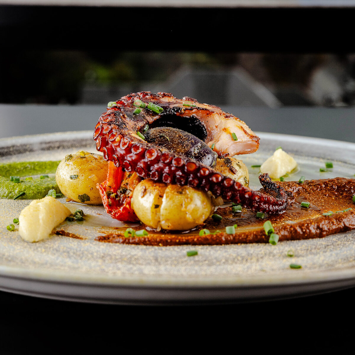 Polpo Octopus Dish at La Terrazza